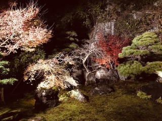 IMG_9135★.jpeg