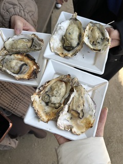 S__399835147_0.jpg